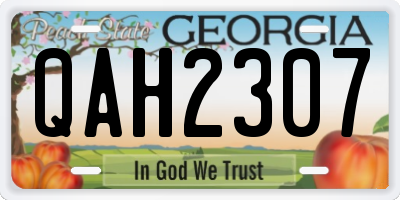 GA license plate QAH2307