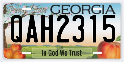 GA license plate QAH2315