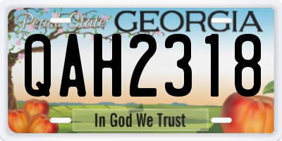 GA license plate QAH2318