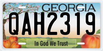 GA license plate QAH2319