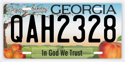 GA license plate QAH2328