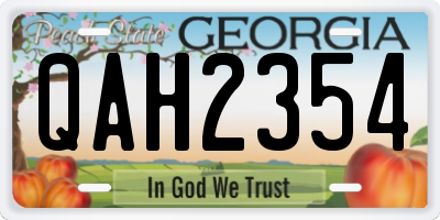 GA license plate QAH2354