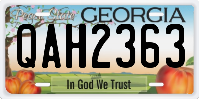GA license plate QAH2363