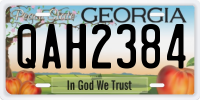 GA license plate QAH2384