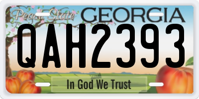 GA license plate QAH2393
