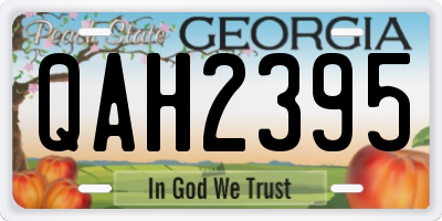 GA license plate QAH2395