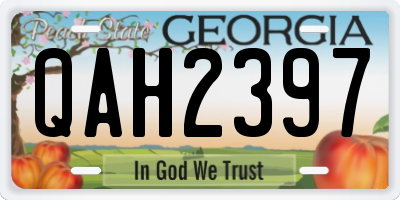 GA license plate QAH2397
