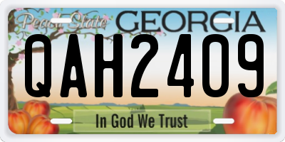GA license plate QAH2409