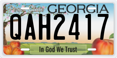 GA license plate QAH2417