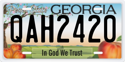 GA license plate QAH2420