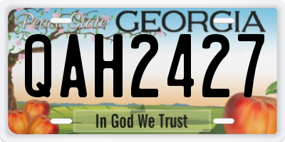 GA license plate QAH2427