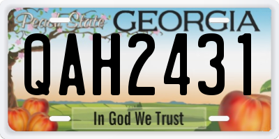 GA license plate QAH2431