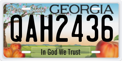 GA license plate QAH2436