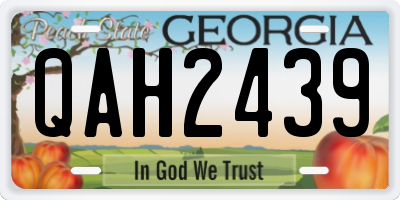 GA license plate QAH2439