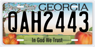 GA license plate QAH2443