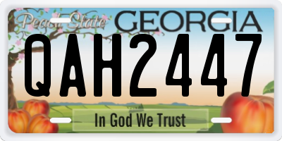 GA license plate QAH2447