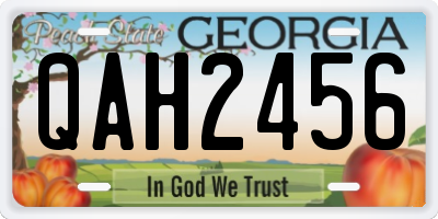 GA license plate QAH2456
