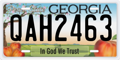 GA license plate QAH2463