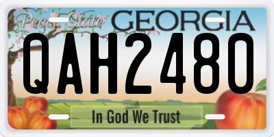 GA license plate QAH2480