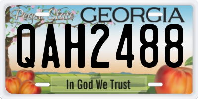 GA license plate QAH2488