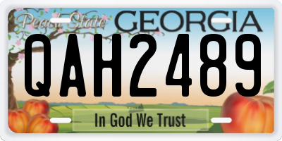 GA license plate QAH2489