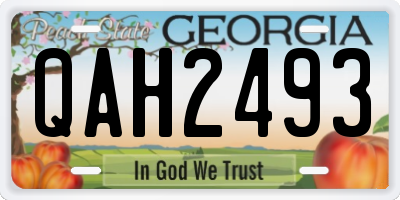 GA license plate QAH2493