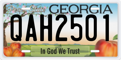 GA license plate QAH2501