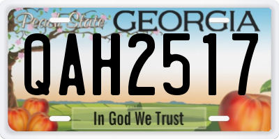 GA license plate QAH2517