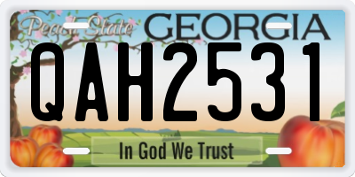 GA license plate QAH2531
