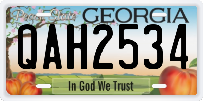 GA license plate QAH2534