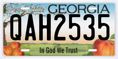 GA license plate QAH2535