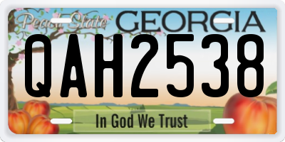 GA license plate QAH2538