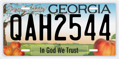 GA license plate QAH2544