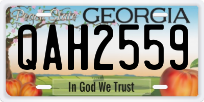 GA license plate QAH2559