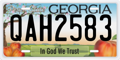 GA license plate QAH2583