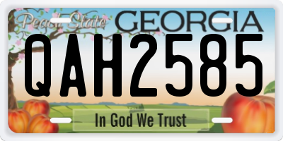 GA license plate QAH2585