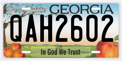GA license plate QAH2602