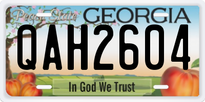 GA license plate QAH2604