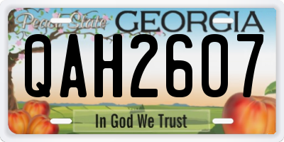 GA license plate QAH2607