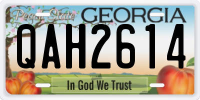 GA license plate QAH2614