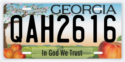 GA license plate QAH2616
