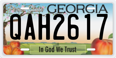 GA license plate QAH2617