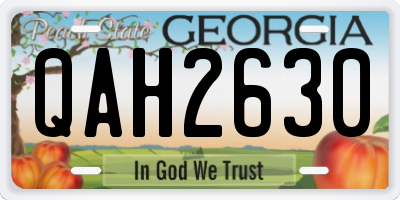 GA license plate QAH2630