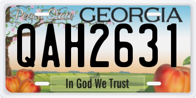 GA license plate QAH2631