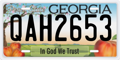 GA license plate QAH2653