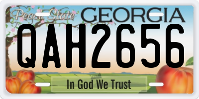 GA license plate QAH2656