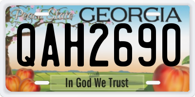 GA license plate QAH2690