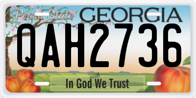 GA license plate QAH2736