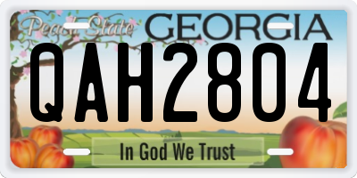 GA license plate QAH2804
