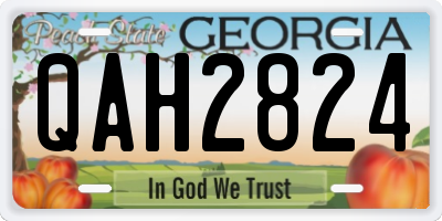 GA license plate QAH2824